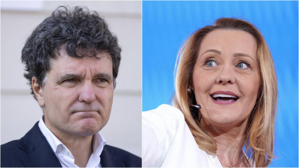 nicusor-dan-nu-crede-ca-o-va-convinge-pe-elena-lasconi-miercuri-sa-renunte-la-candidatura-948558.jpeg