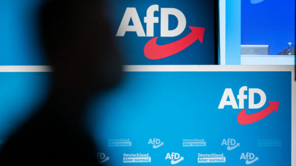 alternativa-pentru-germania-afd-e1704651001394.jpg