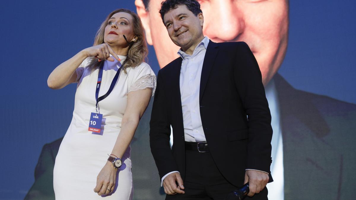 Elena Lasconi, despre Nicușor Dan.jpeg