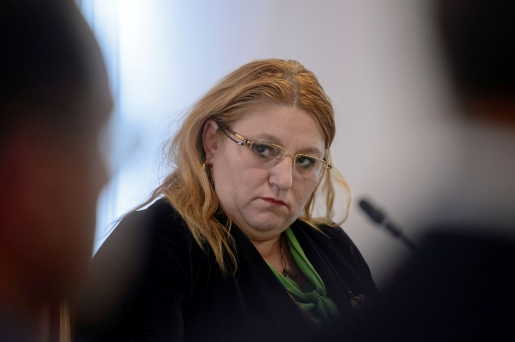 candidatura Dianei Șoșoacă la prezidențiale.jpg