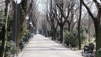 Au apărut căpușele în parcuri și spațiile verzi. Medicii avertizează că insectele pot provoca boli cu efecte devastatoare