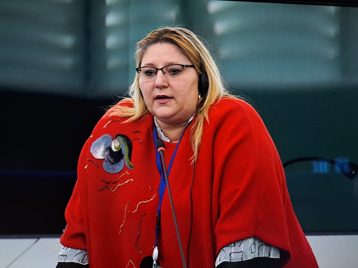 Diana Șoșoacă s-a dezlănțuit despre guvernare.jpg
