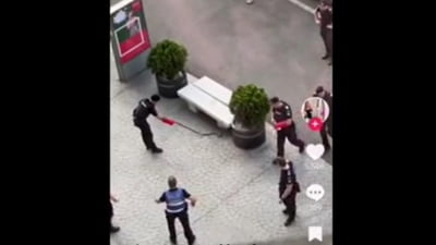 Panică în Piața Victoriei. Un șarpe a fost văzut de trecători sub o bancă. A fost nevoie de intervenția jandarmilor pentru a fi capturată reptila VIDEO