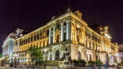 BNR: 2024, un an modest pentru mediul de afaceri autohton