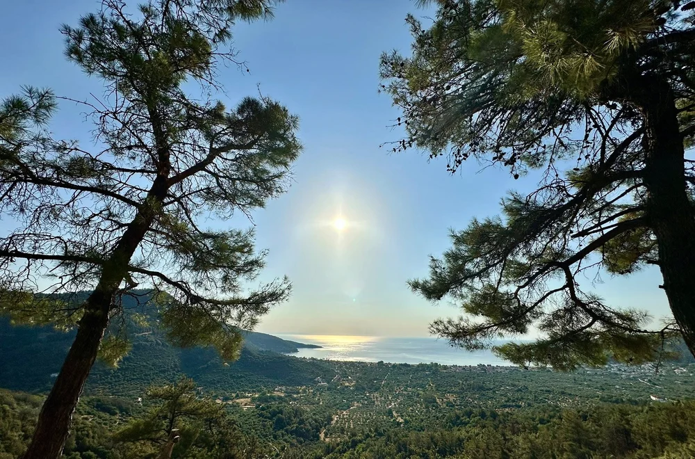 Cât costă o vacanță completă în Thassos pentru o familie cu copil și cățel, plus recomandări testate. Insula de smarald fără secrete