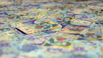 Discuțiile pe rectificarea bugetară se fac pe niște bani care nu există. „Pare că acești pseudo-specialiști din ministerele statului trăiesc în lumea lor”