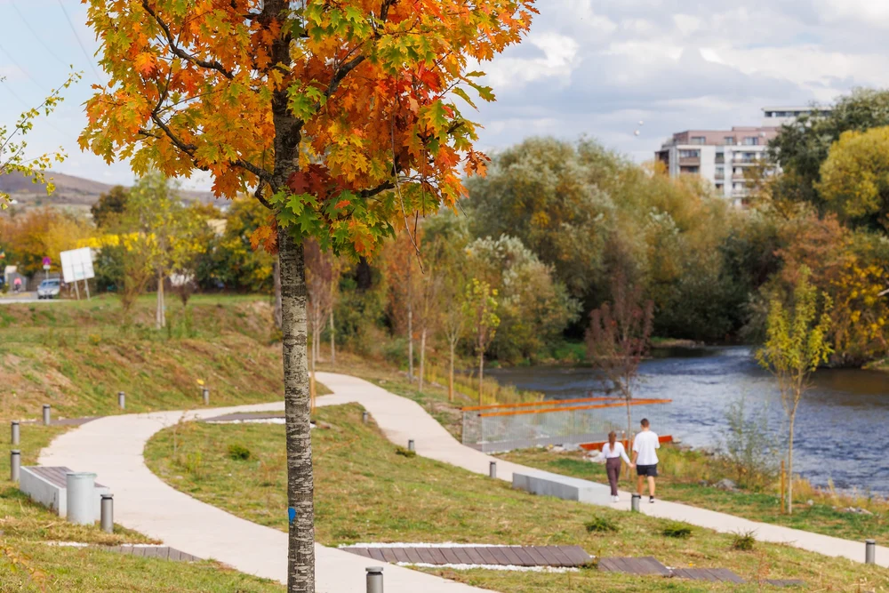 Vești bune de la meteorologi: temperaturi plăcute de toamnă până la jumătatea lunii noiembrie. Unde va ploua