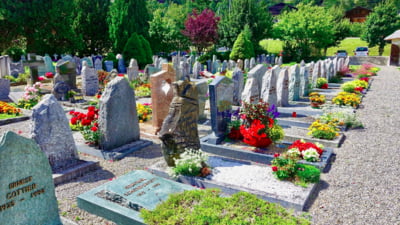 La furat de flori și animale de pluș într-un cimitir. Cum a fost prinsă femeia