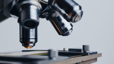 Prima sarcină obținută printr-o tehnică de fertilizare asistată de AI. În ce constă STAR