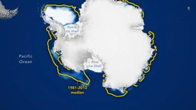 Lumea în mare pericol, pierde 3.000 de ”coloși” anual: 2 miliarde de oameni amenințați că rămân fără o resursă a vieții VIDEO