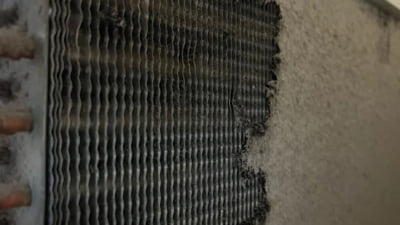 Trucul simplu pentru frigider care economisește bani la factura de energie: „Nici nu știam că există așa ceva”