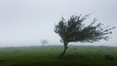 Cod galben de vânt în mai multe județe. Până când este valabilă avertizarea