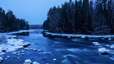 Cod galben de inundații pe râuri din 8 județe. Până când este valabilă avertizarea HARTĂ