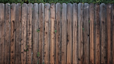 6 culori de vopsea pe care nu ar trebui să le folosești niciodată pentru gardul tău, potrivit designerilor. Ce să alegi, în schimb