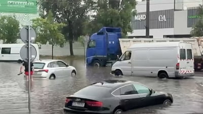 Craiova, sub ape după o ploaie torențială. 24 de străzi au fost inundate și patru copaci au fost smulși de furtună VIDEO
