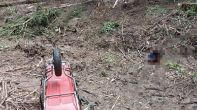 Un bărbat a murit după ce i-a căzut un copac în cap într-o pădure din Crăcăoani, județul Neamț