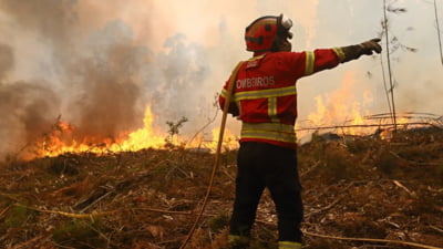 Incendiile de vegetație se extind în sudul Europei, afectând destinațiile turistice populare. Mii de pompieri intervin, iar turiștii și localnicii sunt evacuați din mai multe regiuni