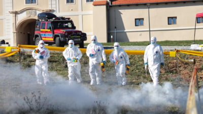 Femeie dispărută de două săptămâni, descoperită moartă în casa concubinului care săpa o groapă în curte