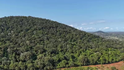 SUA, China și Australia se luptă pentru un deal. Acesta conține bogății de peste 60 de miliarde de dolari