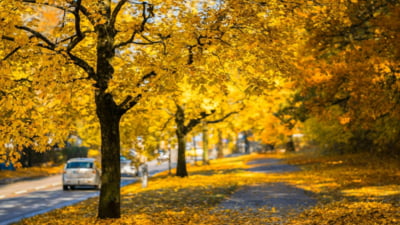 Meteorologii anunță temperaturi neobișnuite pentru începutul lunii octombrie. Ce pot prevesti ele despre iarna care urmează