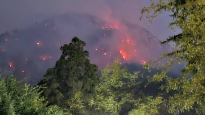 Peste 2.100 de hectare de pădure și vegetație au ars în ultimele două luni la Herculane. Parchetul Militar a început o anchetă și sunt mai multe cereri de demisii